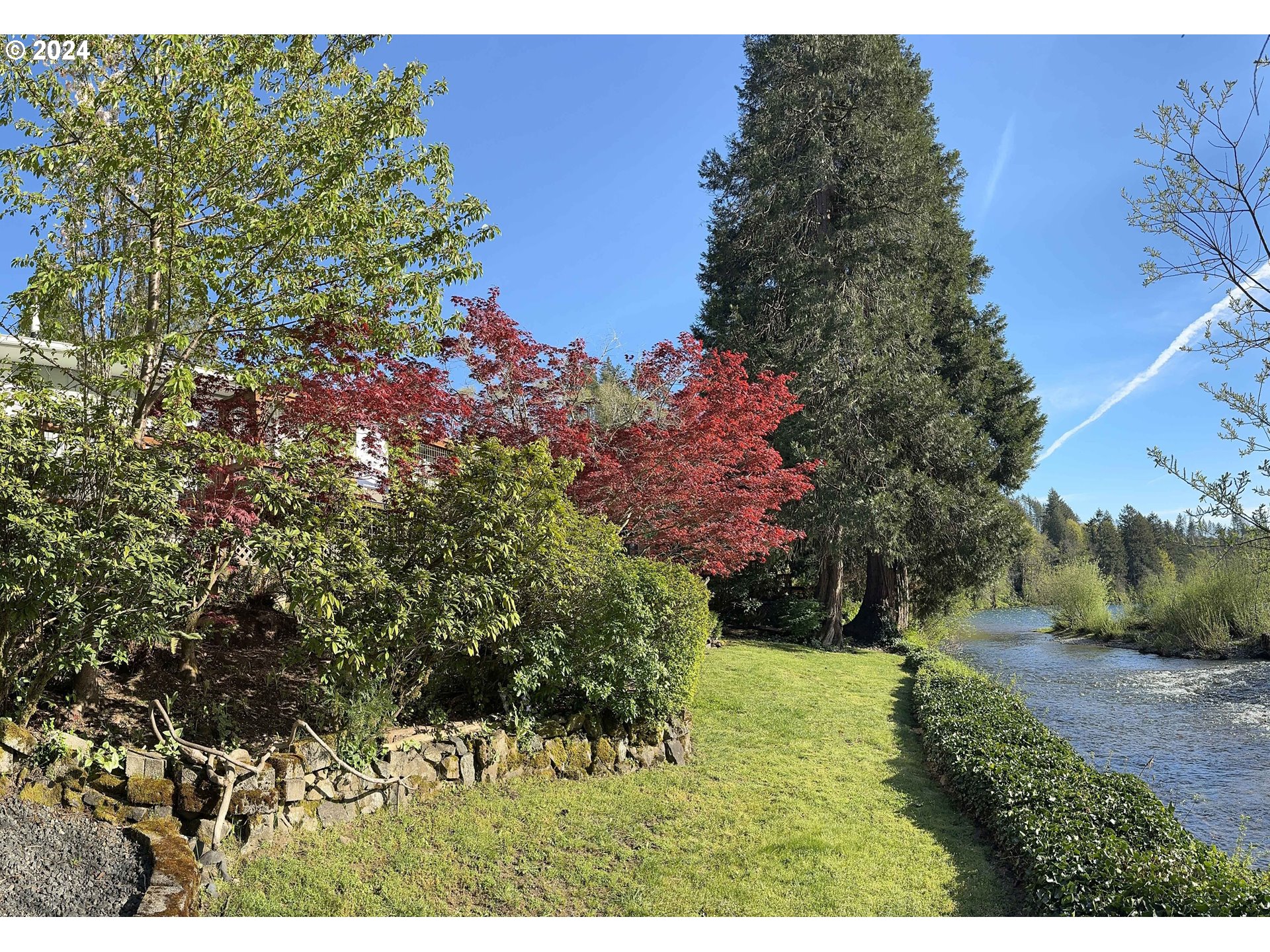 91070 Leashore Drive Vida, OR 97488 - Photo 5 of 43 a view of a yard