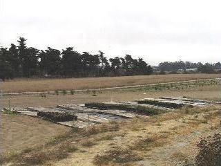 6001 Volkerts Road Sebastopol, CA 95472 - Photo 2 of 4 a view of an ocean and beach