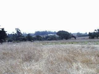 6001 Volkerts Road Sebastopol, CA 95472 - Photo 3 of 4 a view of an outdoor space