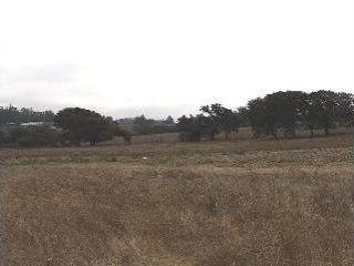 6001 Volkerts Road Sebastopol, CA 95472 - Photo 4 of 4 a view of an outdoor space with mountain view