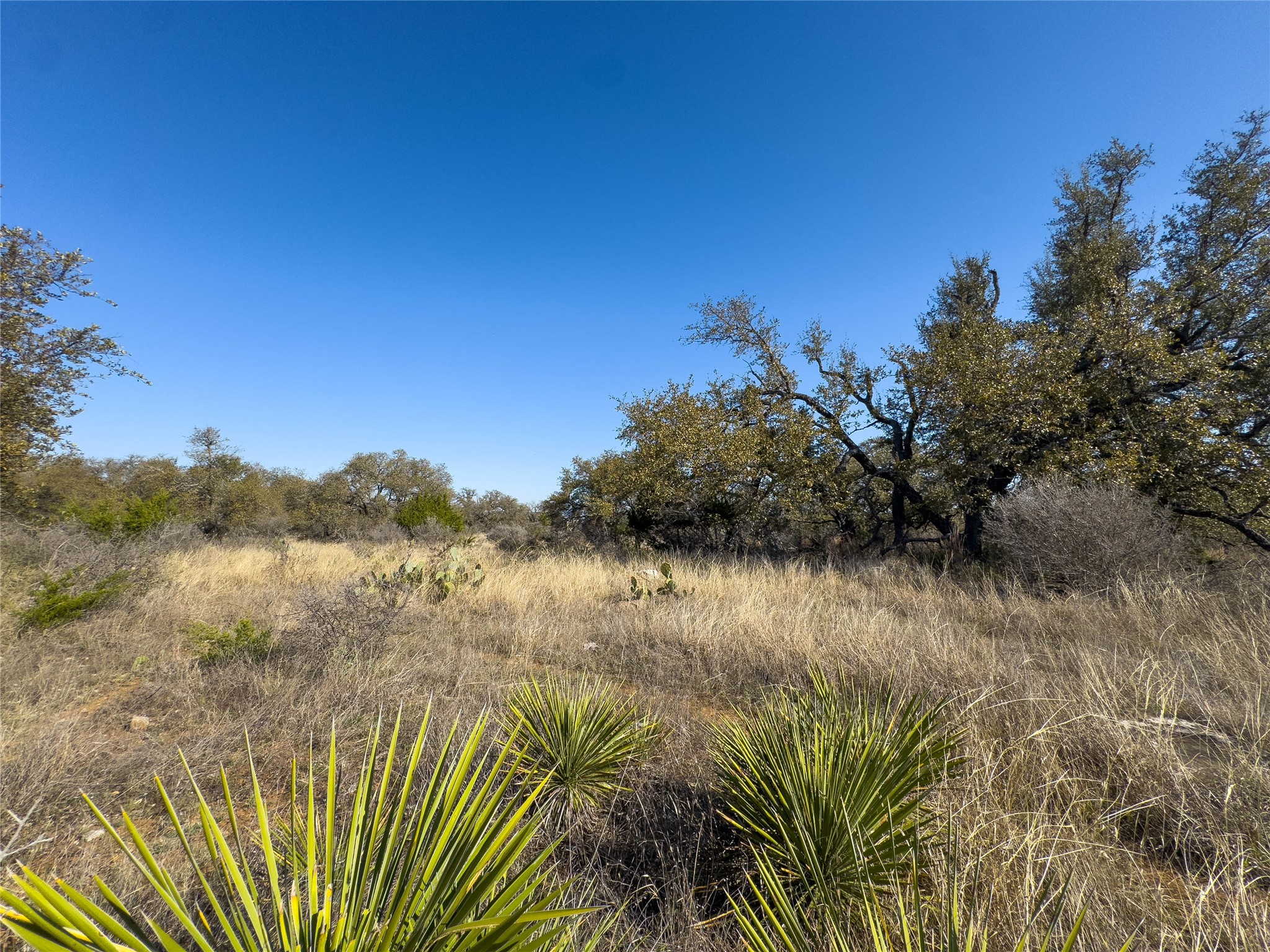 Lot 20 Comanche Ridge Round Mountain, TX 78663 - Photo 32 of 34 LOT 20 STREET LEVEL
