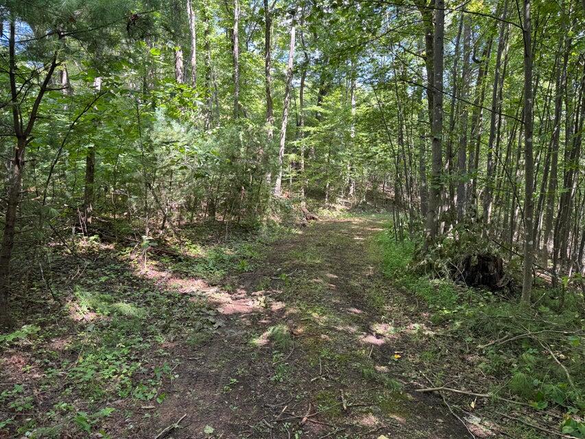 100 Foothills Road Callaway, VA 24067 - Photo 3 of 9