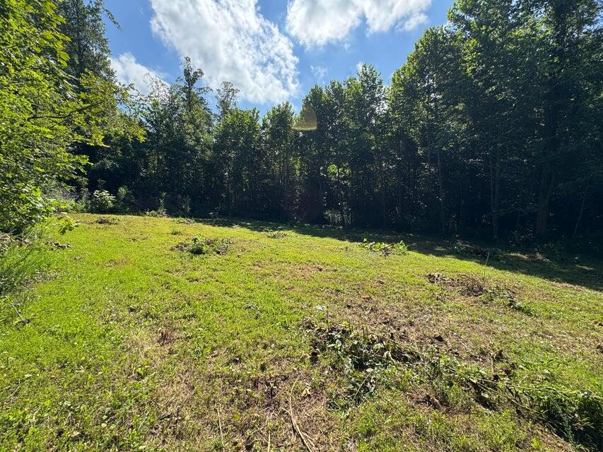 100 Foothills Road Callaway, VA 24067 - Photo 5 of 9 a view of backyard with tree