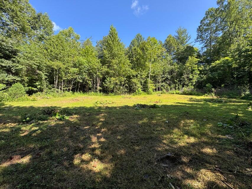 100 Foothills Road Callaway, VA 24067 - Photo 6 of 9 a view of a golf course with a yard
