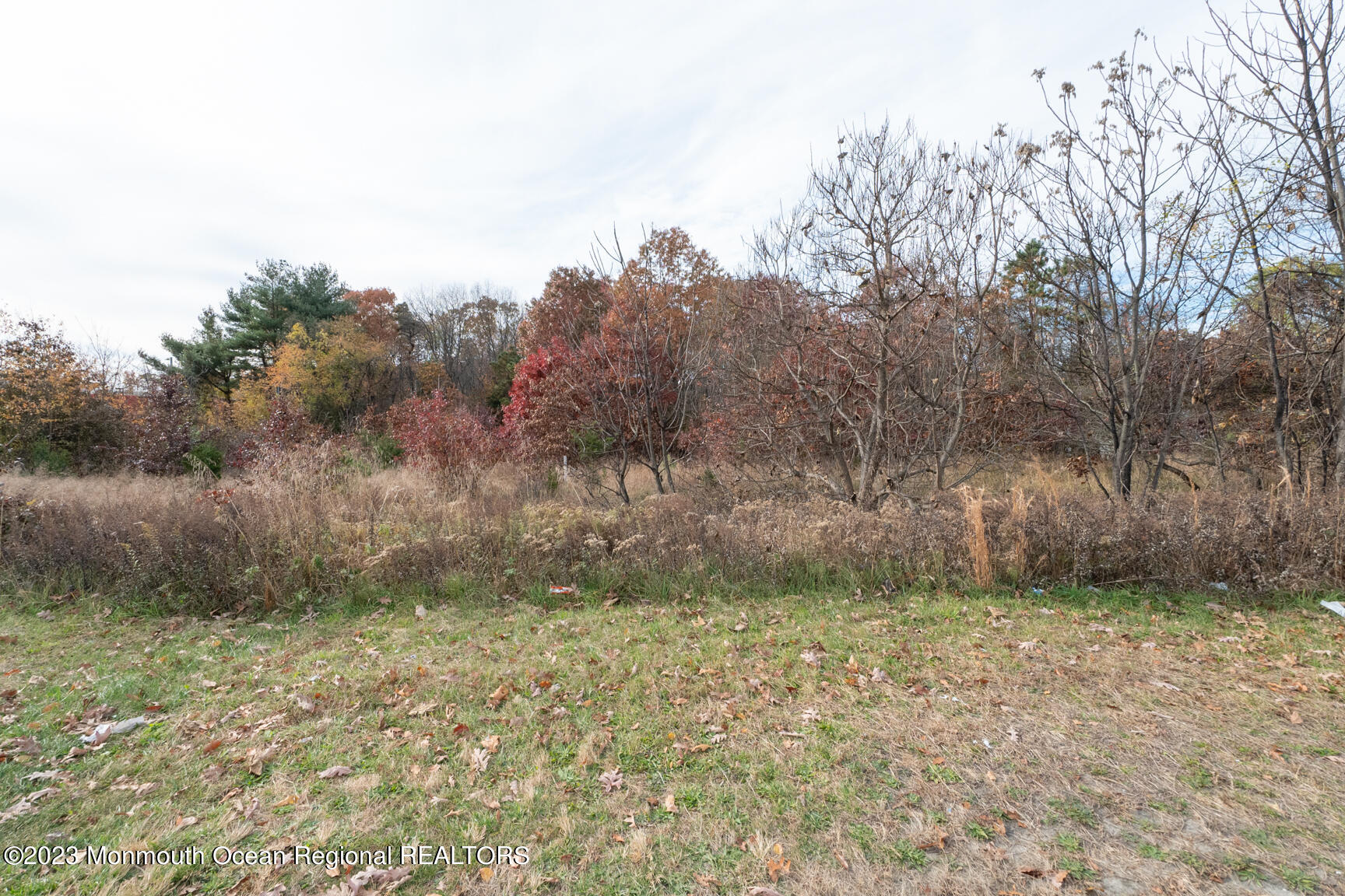 9 Highway 9 Howell, NJ 07731 - Photo 21 of 26 a view of a yard