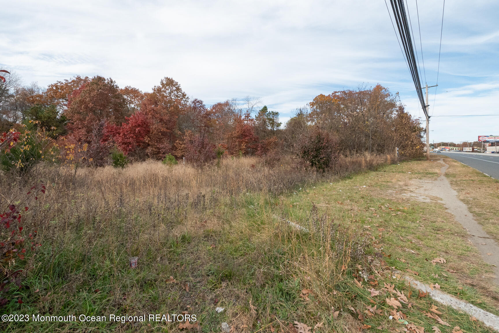 9 Highway 9 Howell, NJ 07731 - Photo 8 of 26 a view of a yard