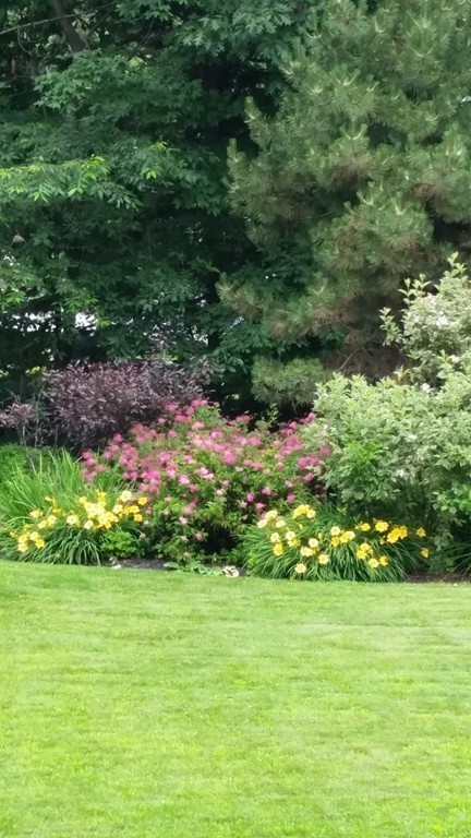38 North Common Road Westminster, MA 01473 - Photo 25 of 27 Gallery Image 25