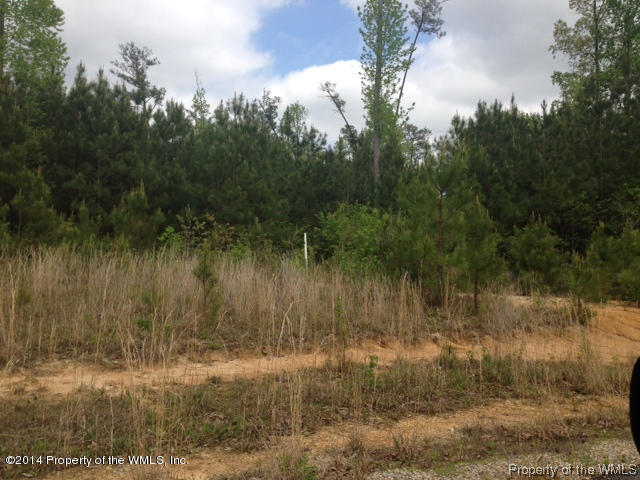 10075 Old Stage Road Toano, VA 23168 - Photo 15 of 22 Gallery Image 15