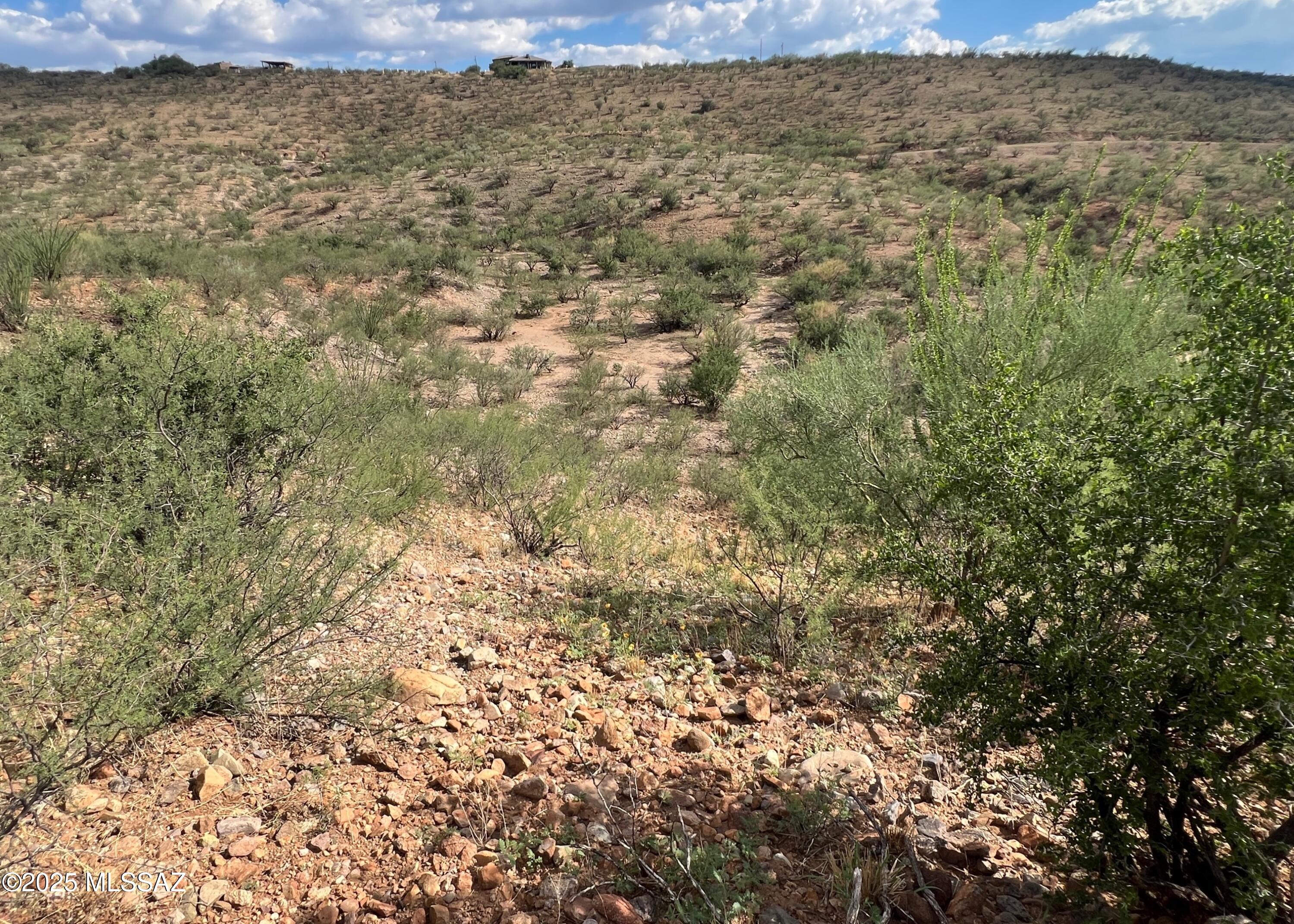 1854 Camino China, Unit 68 Rio Rico, AZ 85648 - Photo 2 of 7 South View from Lot