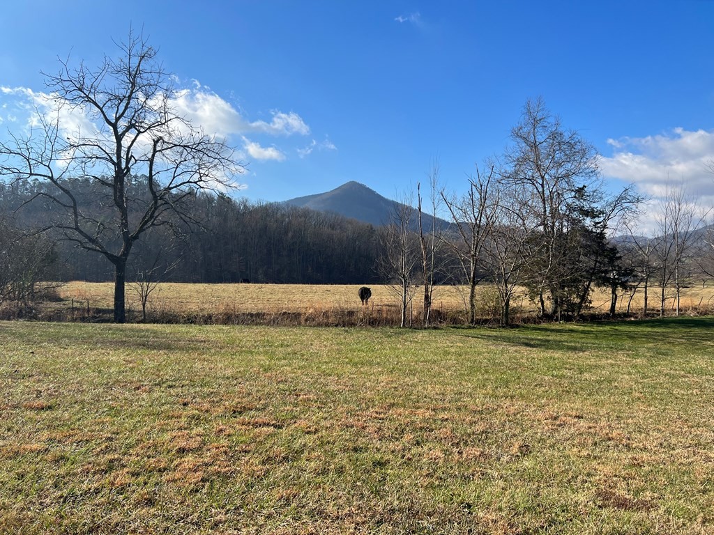 11 Katy Hollar Rd. Road Sevierville, TN 37862 - Photo 10 of 17