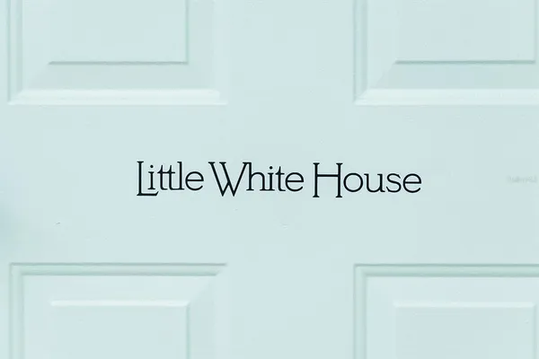 a view of a yard with plants