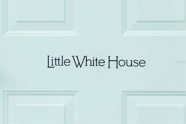 a view of a yard with plants