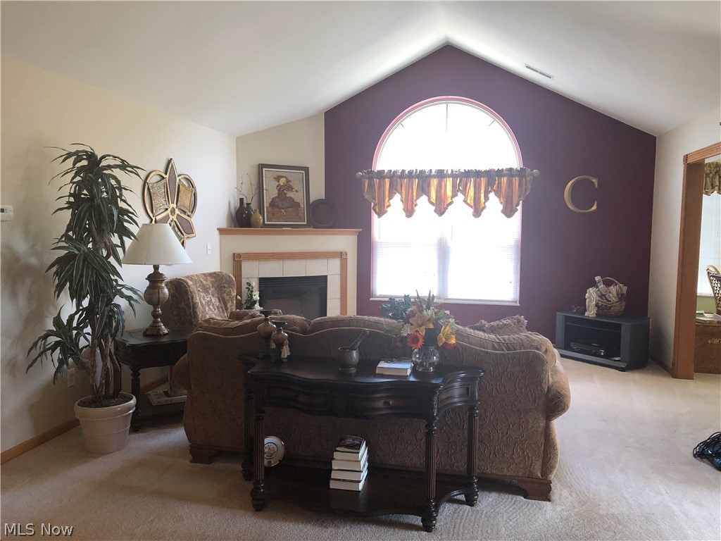 9151 Springfield Road, Unit 901 Youngstown, OH 44514 - Photo 2 of 18 Large great room with gas fireplace, cathedral ceilings, & paldium window.
