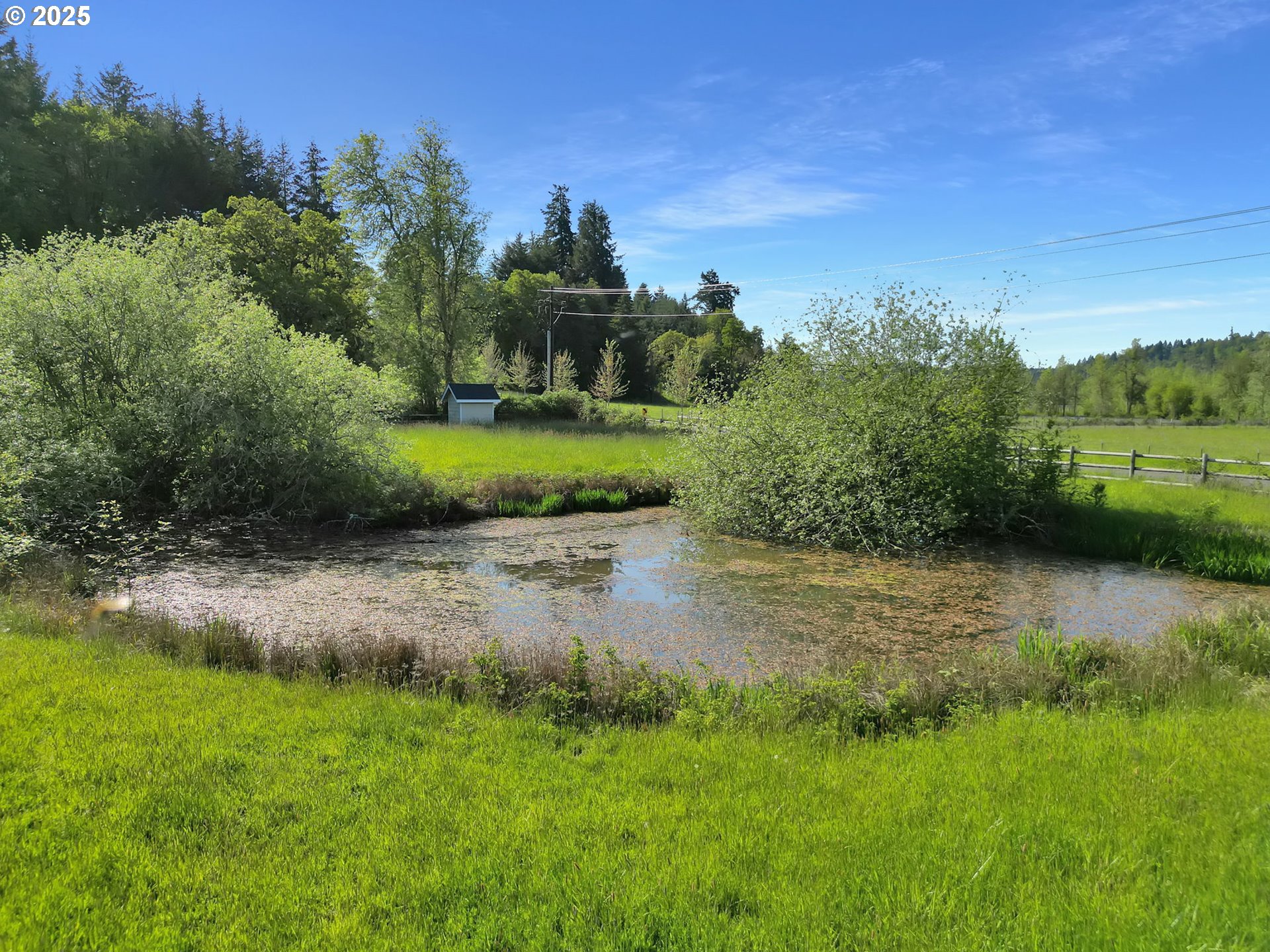 27730 Erickson Road Eugene, OR 97402 - Photo 46 of 47 Gallery Image 46