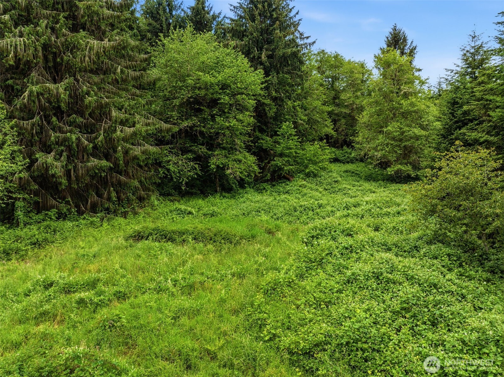 0 East Valley Road Skamokawa, WA 98647 - Photo 4 of 15