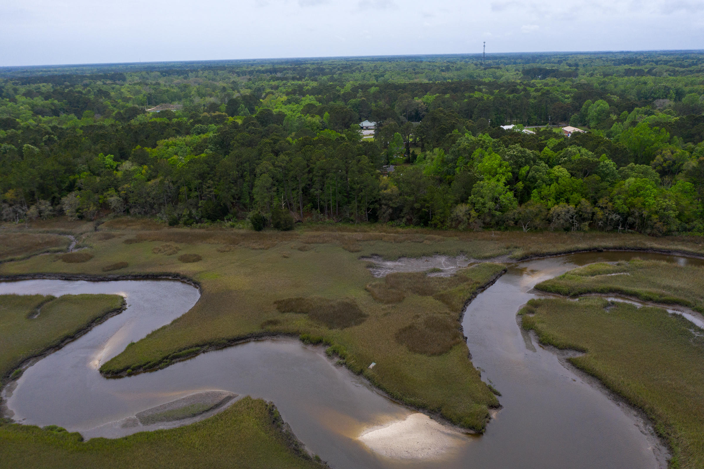 0 Pondview Road Johns Island, SC 29455 - Photo 11 of 22 0 Pondview_LuxImg_0017