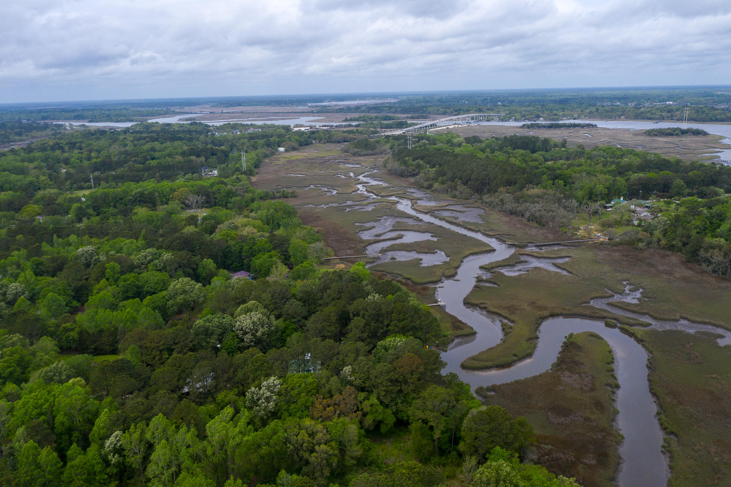 0 Pondview Road Johns Island, SC 29455 - Photo 20 of 22 0 Pondview_LuxImg_0028
