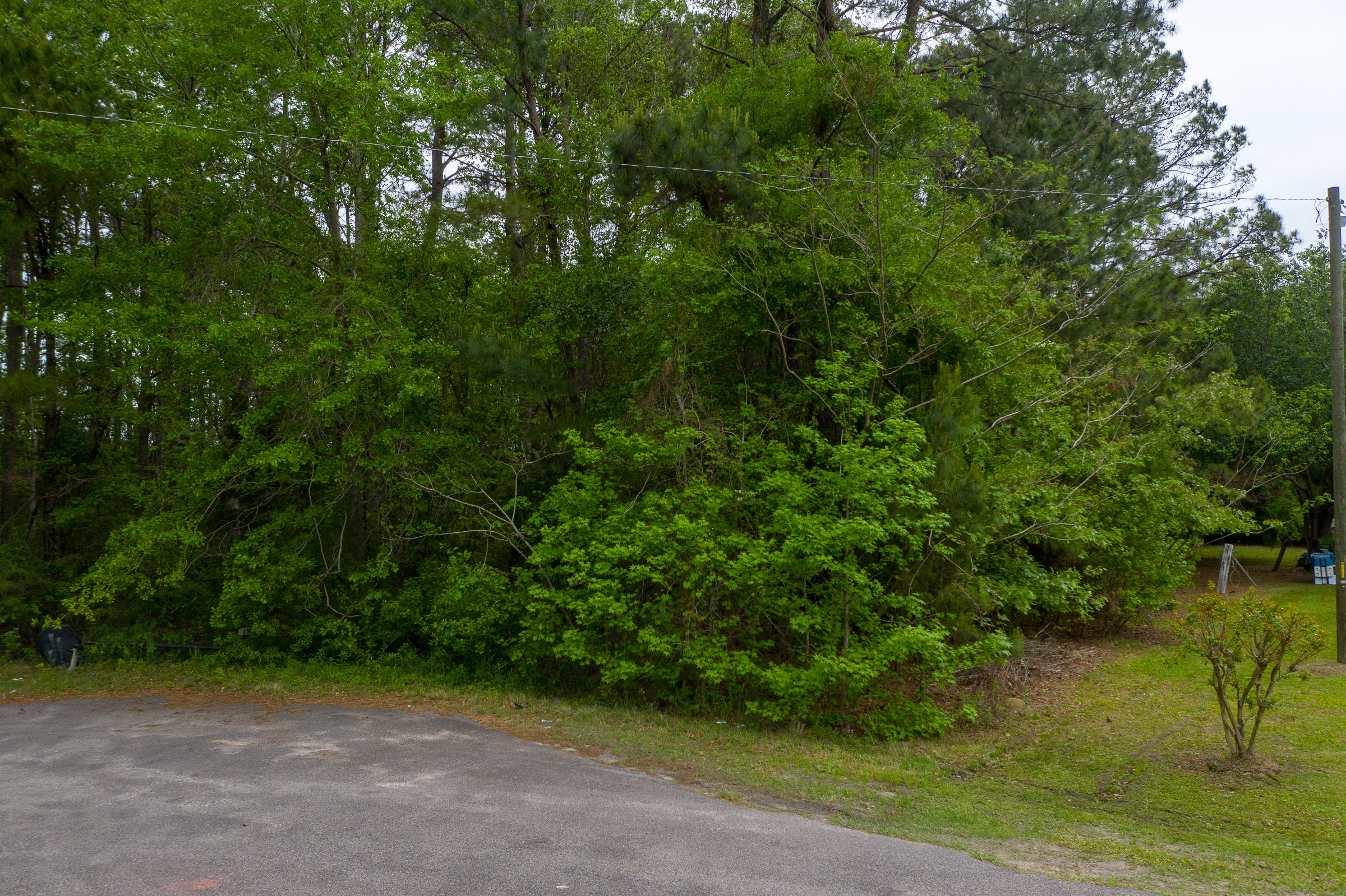 0 Pondview Road Johns Island, SC 29455 - Photo 21 of 22 0 Pondview_LuxImg_0029