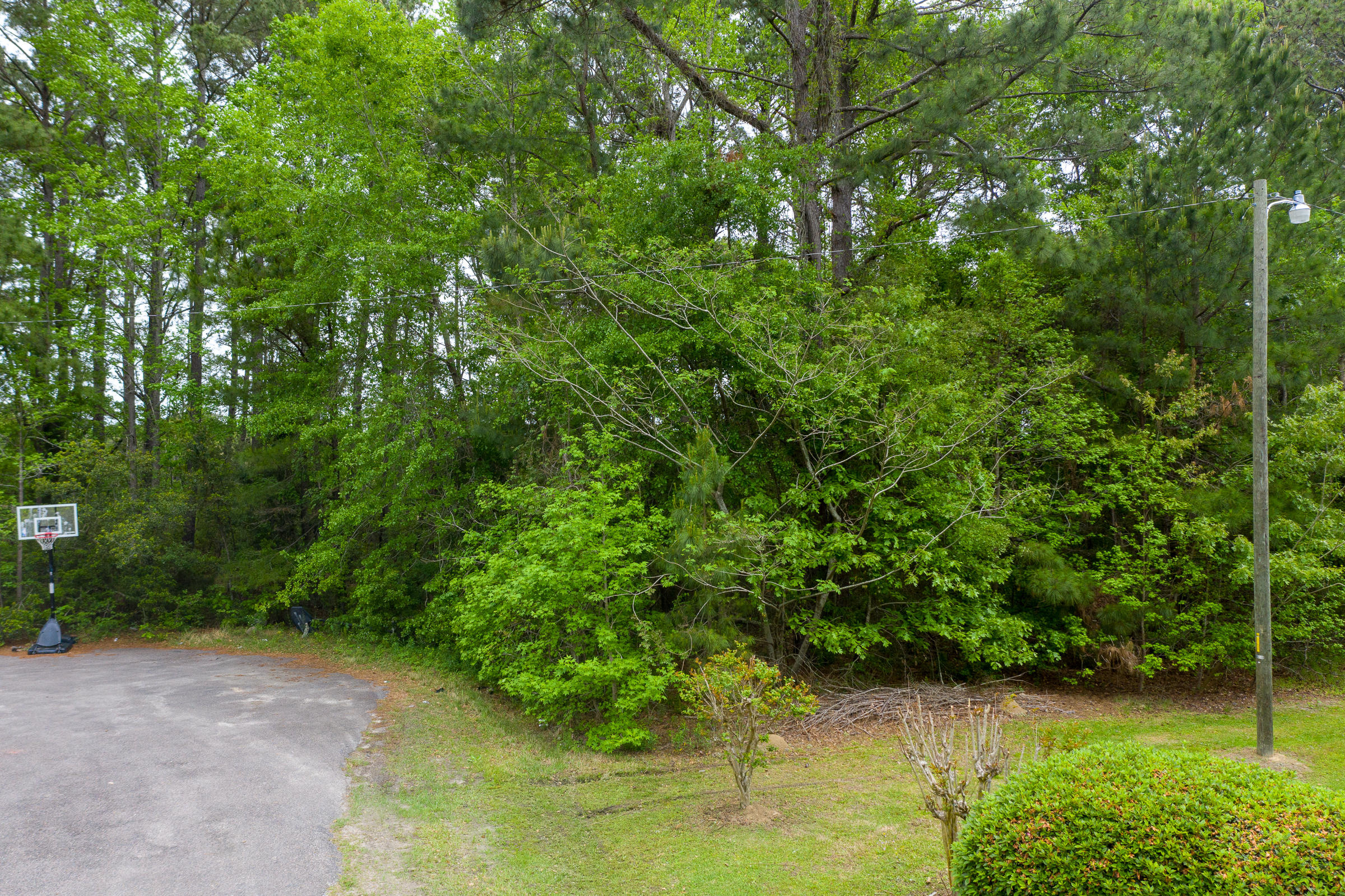 0 Pondview Road Johns Island, SC 29455 - Photo 8 of 22 0 Pondview_LuxImg_0004