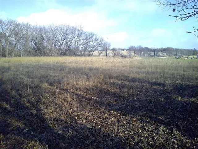 a view of a field with trees in background