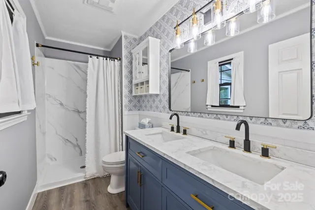 a bathroom with a double vanity sink toilet and shower