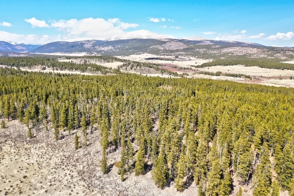 57 Bennett Road Fairplay, CO 80440 - Photo 17 of 19 Gallery Image 17
