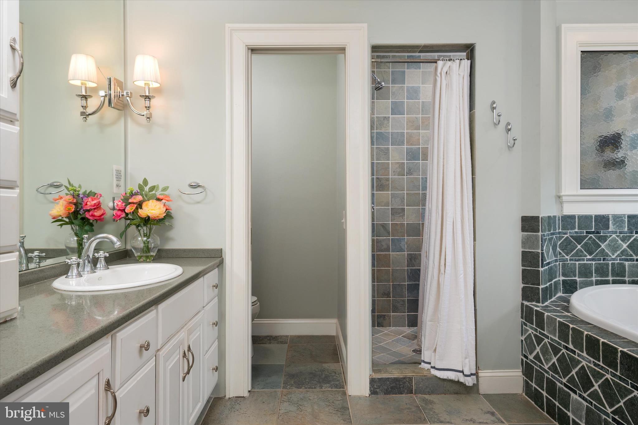 238 King George Street Annapolis, MD 21401 - Photo 28 of 55 Primary bath