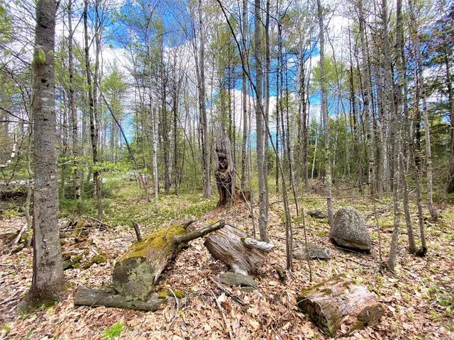 $119,900 | 0 Libby Road, Unit LOT #9, West Newfield, ME 04095