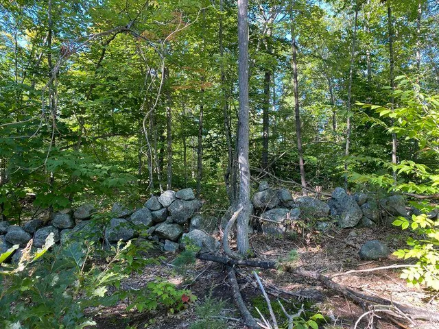 $119,900 | 0 Libby Road, Unit LOT #9, West Newfield, ME 04095