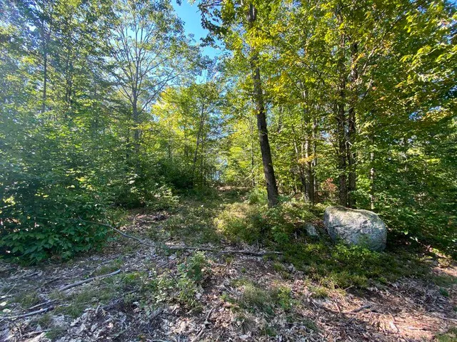 $119,900 | 0 Libby Road, Unit LOT #9, West Newfield, ME 04095