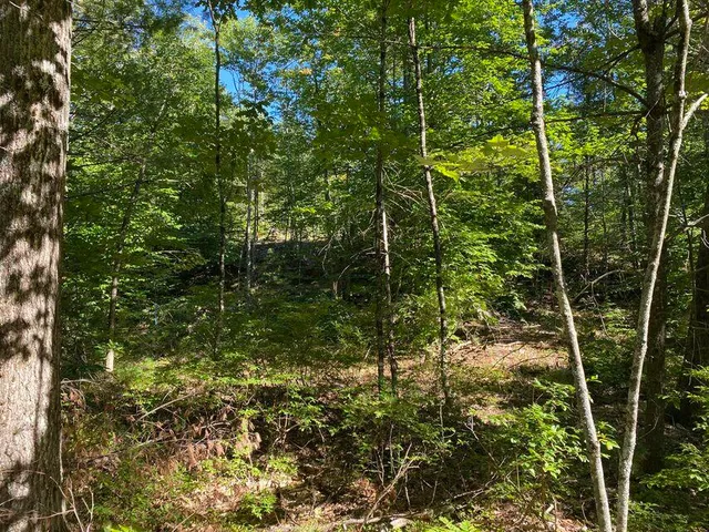 $119,900 | 0 Libby Road, Unit LOT #9, West Newfield, ME 04095