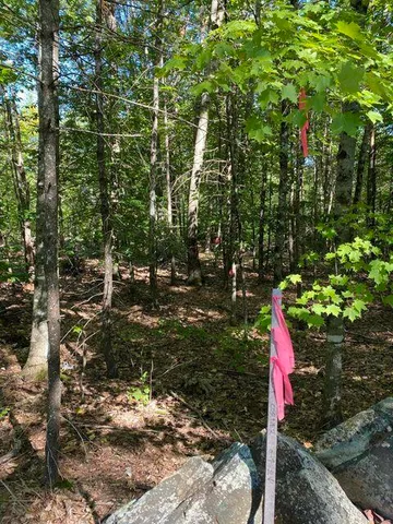 $119,900 | 0 Libby Road, Unit LOT #9, West Newfield, ME 04095