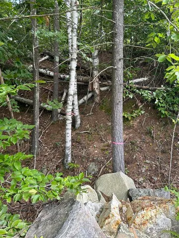 $119,900 | 0 Libby Road, Unit LOT #9, West Newfield, ME 04095