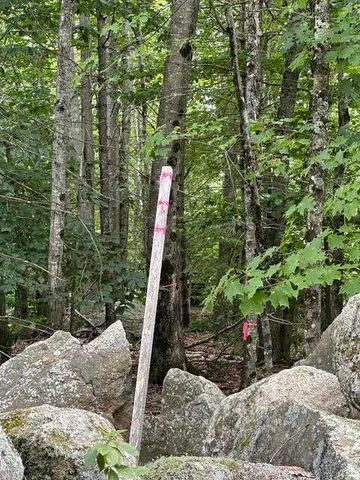 $119,900 | 0 Libby Road, Unit LOT #9, West Newfield, ME 04095