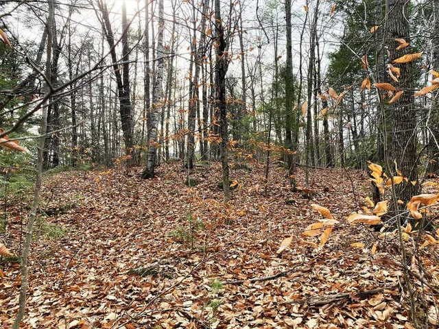 $119,900 | 0 Libby Road, Unit LOT #9, West Newfield, ME 04095