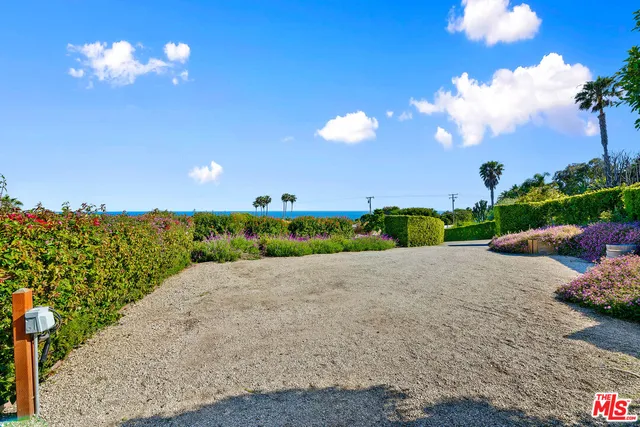 a view of a garden with plants