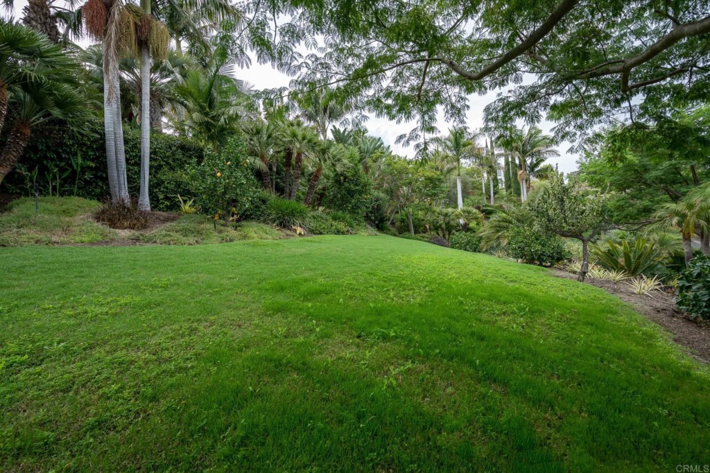 2892 Lone Jack Road Encinitas, CA 92024 - Photo 26 of 31 a view of a grassy field with trees in the background