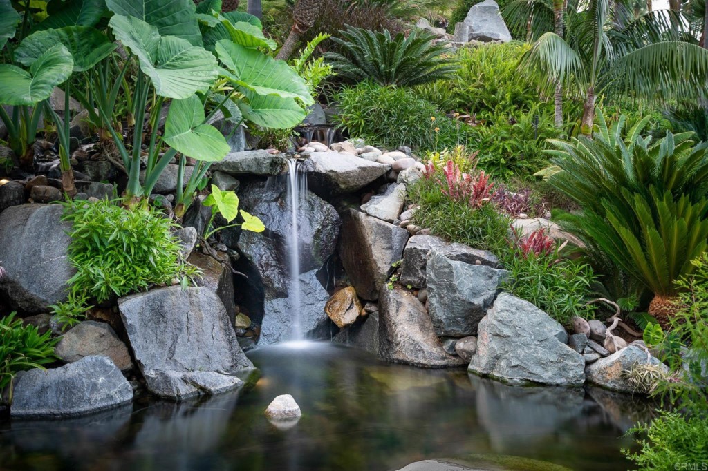 2892 Lone Jack Road Encinitas, CA 92024 - Photo 5 of 31 a view of a garden with plants
