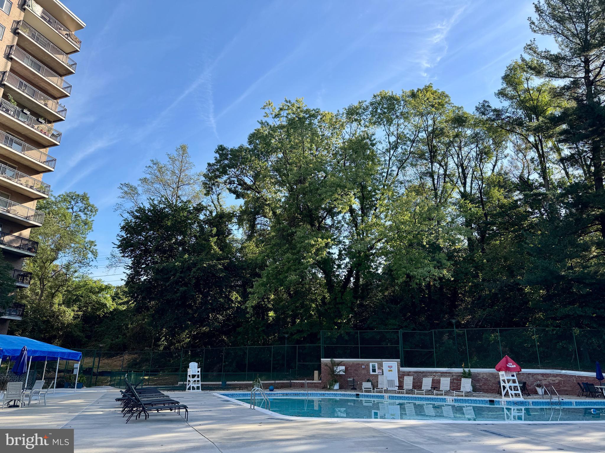 1900 Lyttonsville Road, Unit 417 Silver Spring, MD 20910 - Photo 12 of 15 a view of a yard