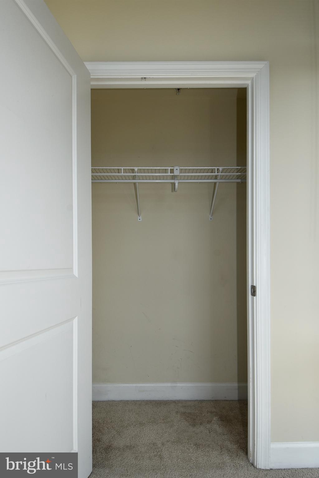 3650 South Glebe Road, Unit 571 Arlington, VA 22202 - Photo 15 of 34 Primary Bedroom Closet 2