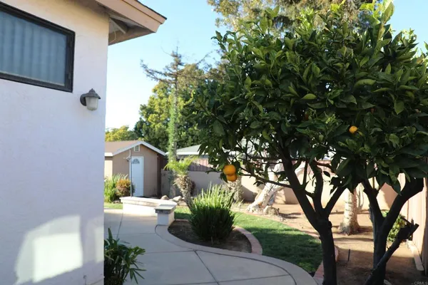 a view of a house with backyard