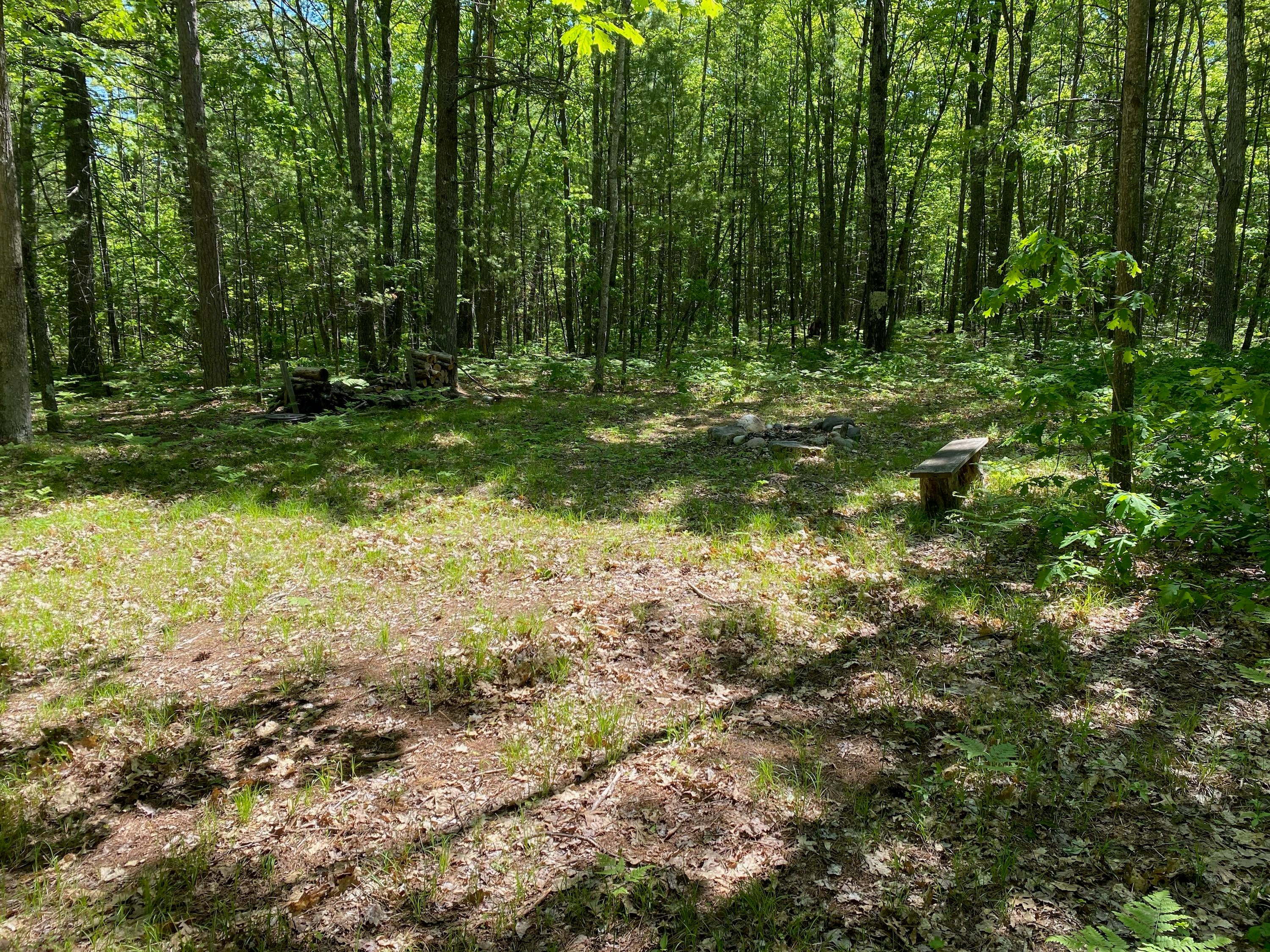 7103 Bell Top Lodge Road Roscommon, MI 48653 - Photo 5 of 6 Gallery Image 5
