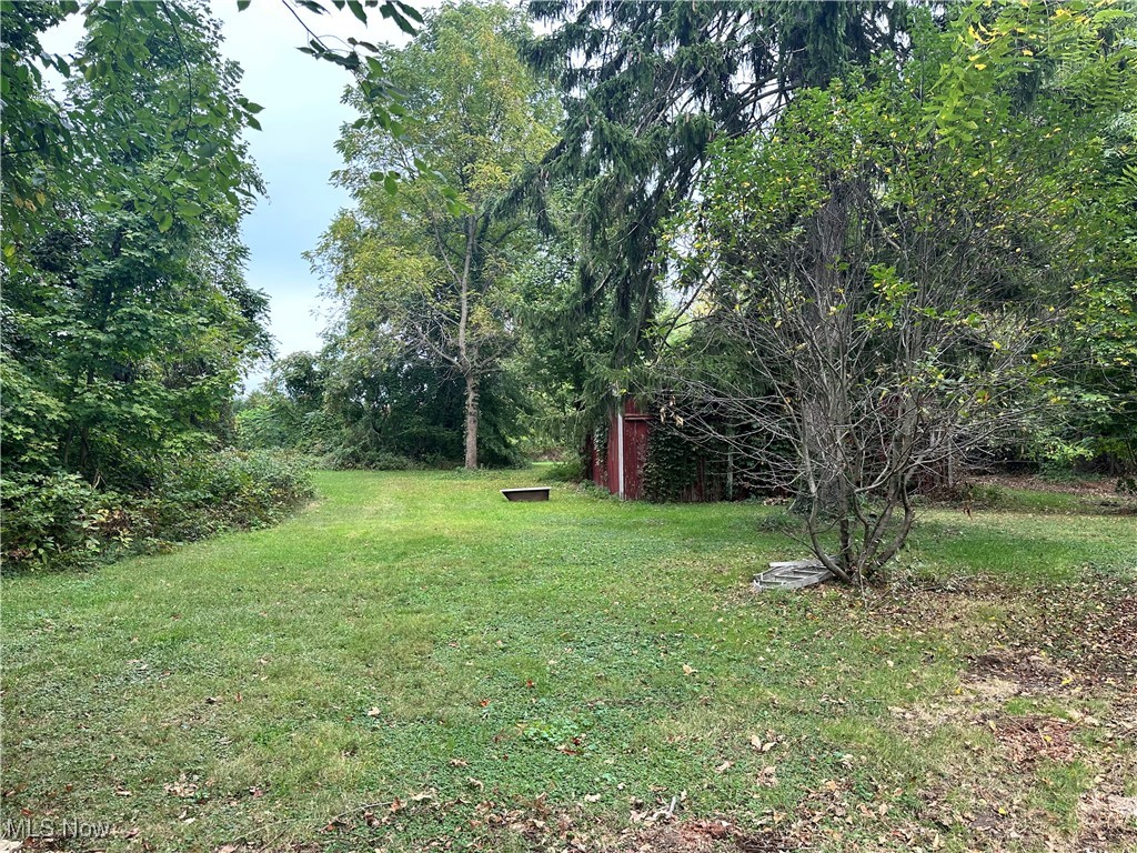 4623 Davis Road Perry, OH 44081 - Photo 4 of 7 View of yard