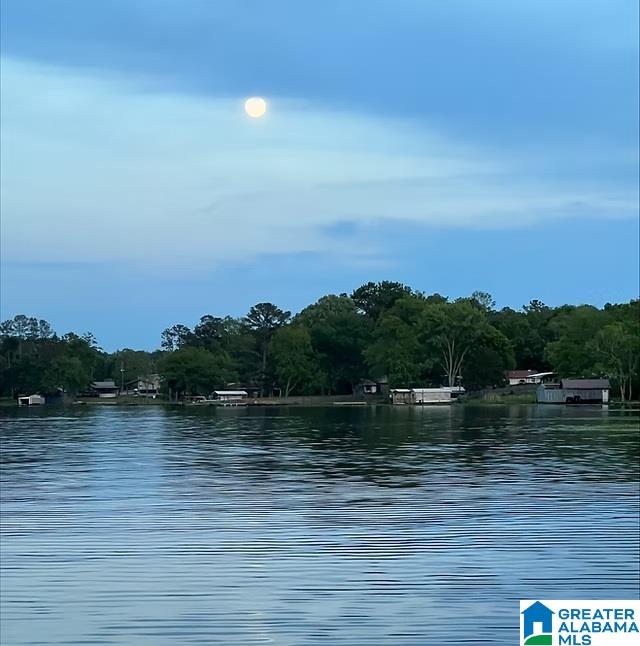 51 Taft Road Ashville, AL 35953 - Photo 12 of 12