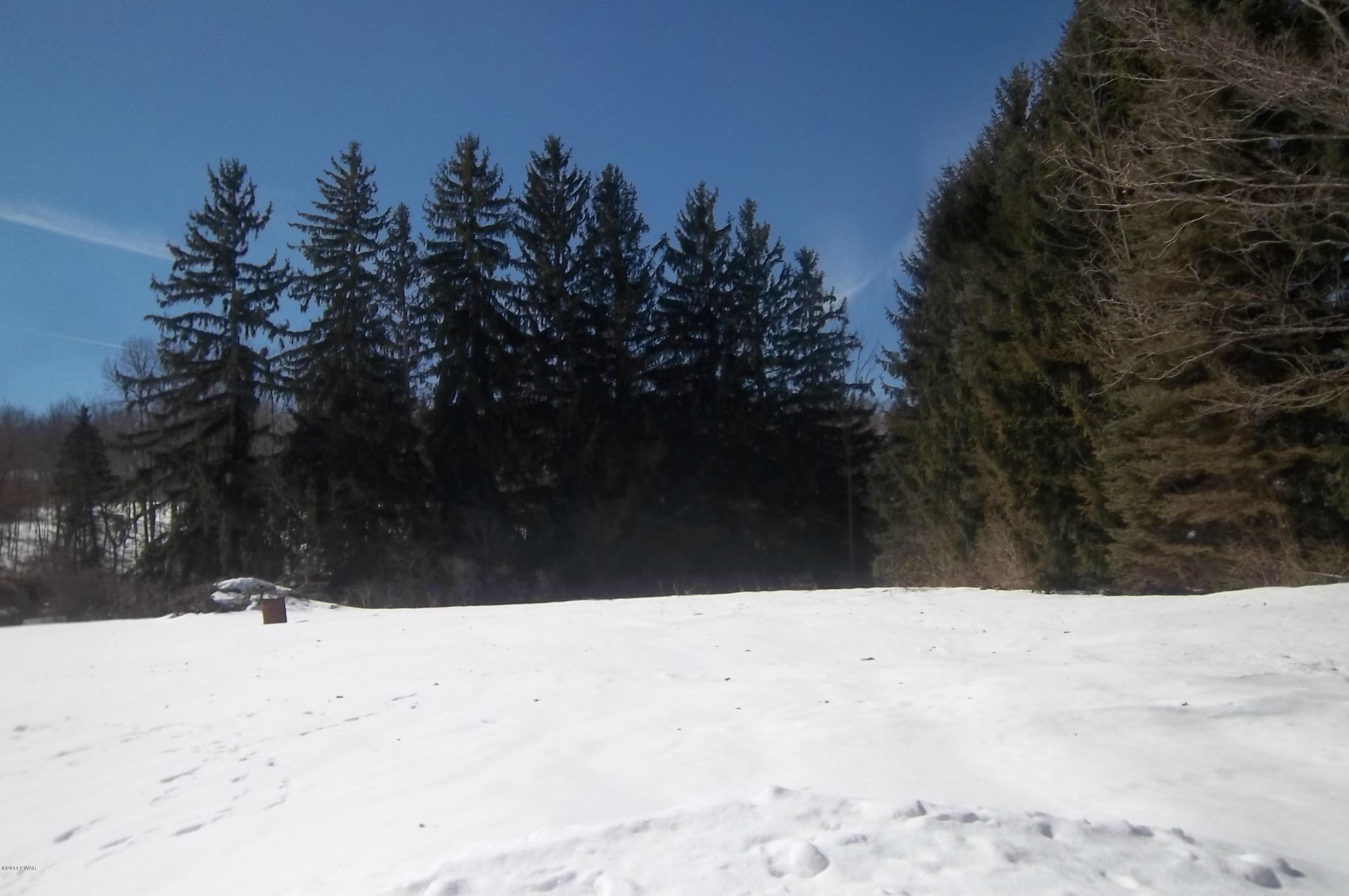 217 Canfield Road Tyler Hill, PA 18469 - Photo 4 of 10