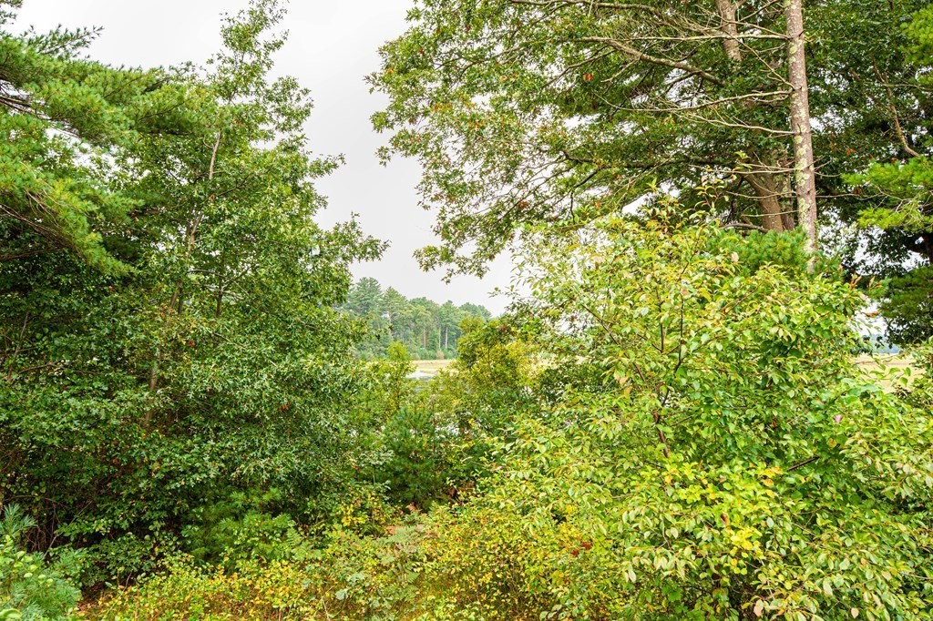 21 Roosevelt Ridge Carver, MA 02330 - Photo 20 of 20 Gallery Image 20