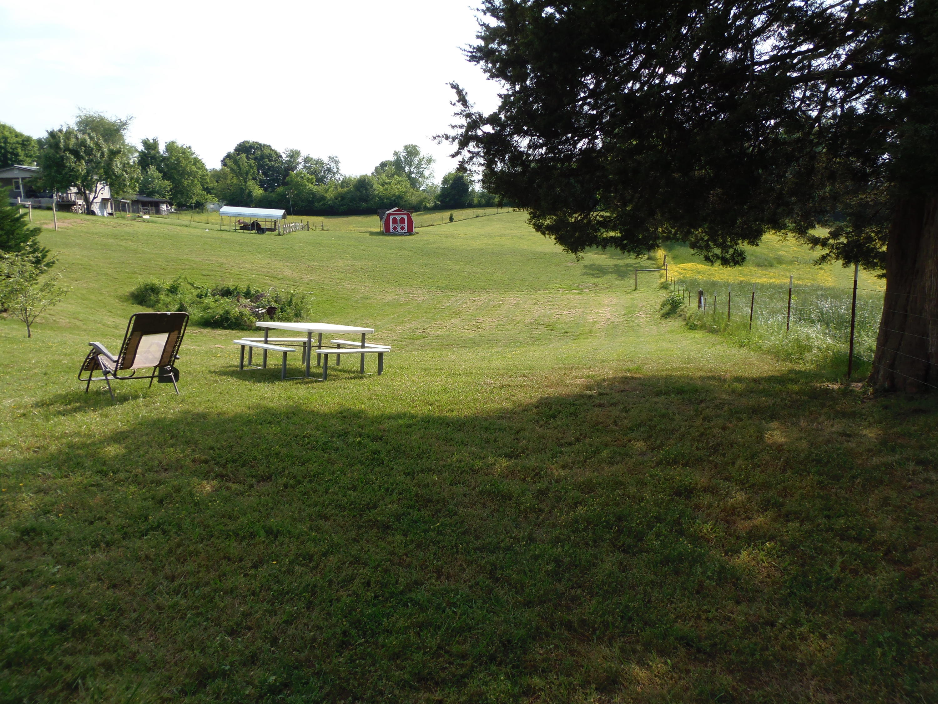 4776 Loudon Ridge Road Lenoir City, TN 37771 - Photo 3 of 21 P1010022