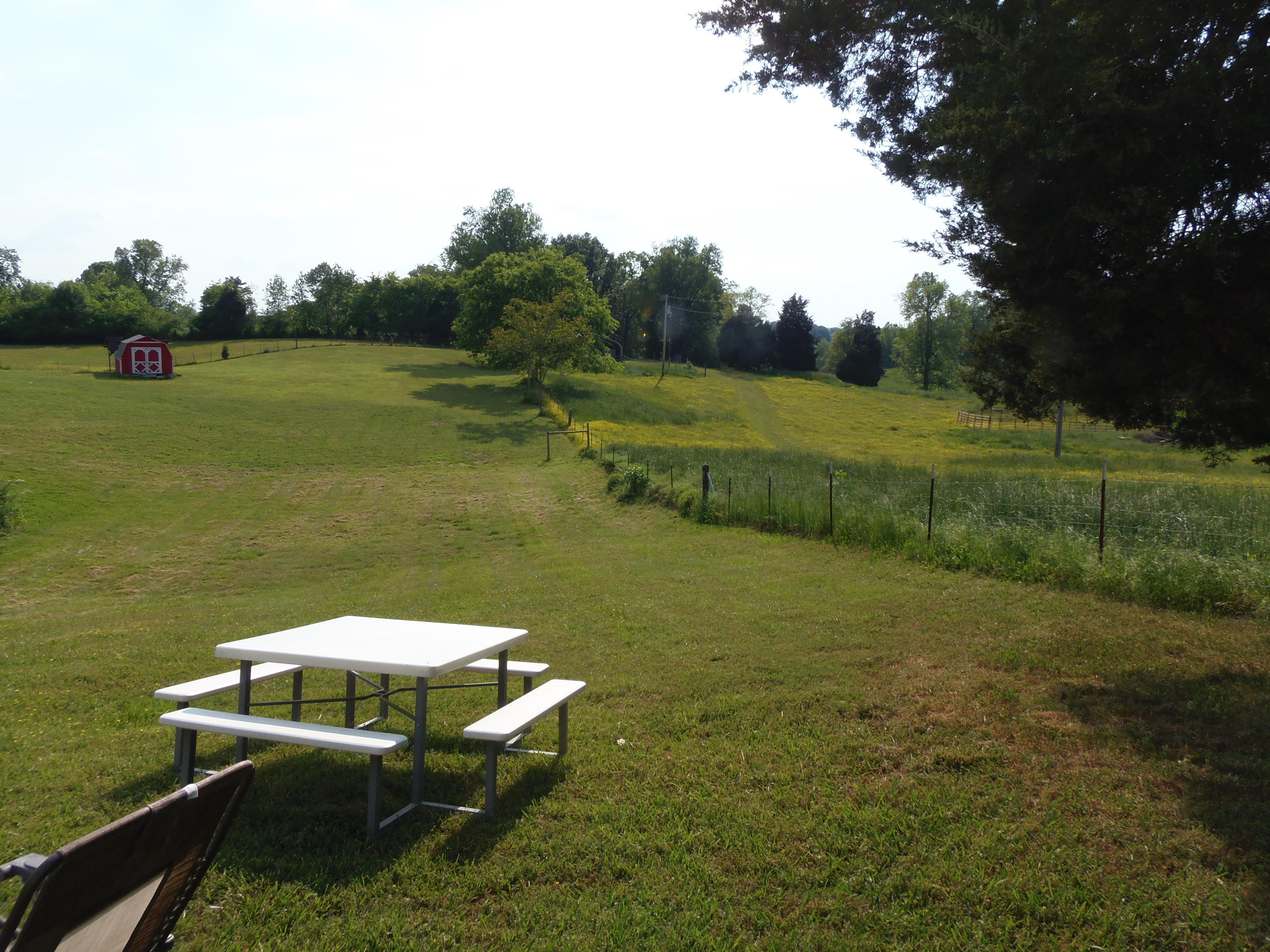 4776 Loudon Ridge Road Lenoir City, TN 37771 - Photo 5 of 21 P1010024