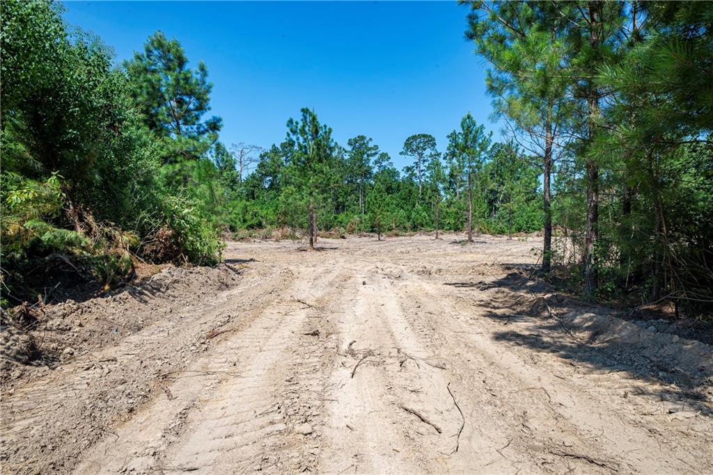 Lot 3 Mile Road Pitkin, LA 70656 - Photo 5 of 6 Gallery Image 5