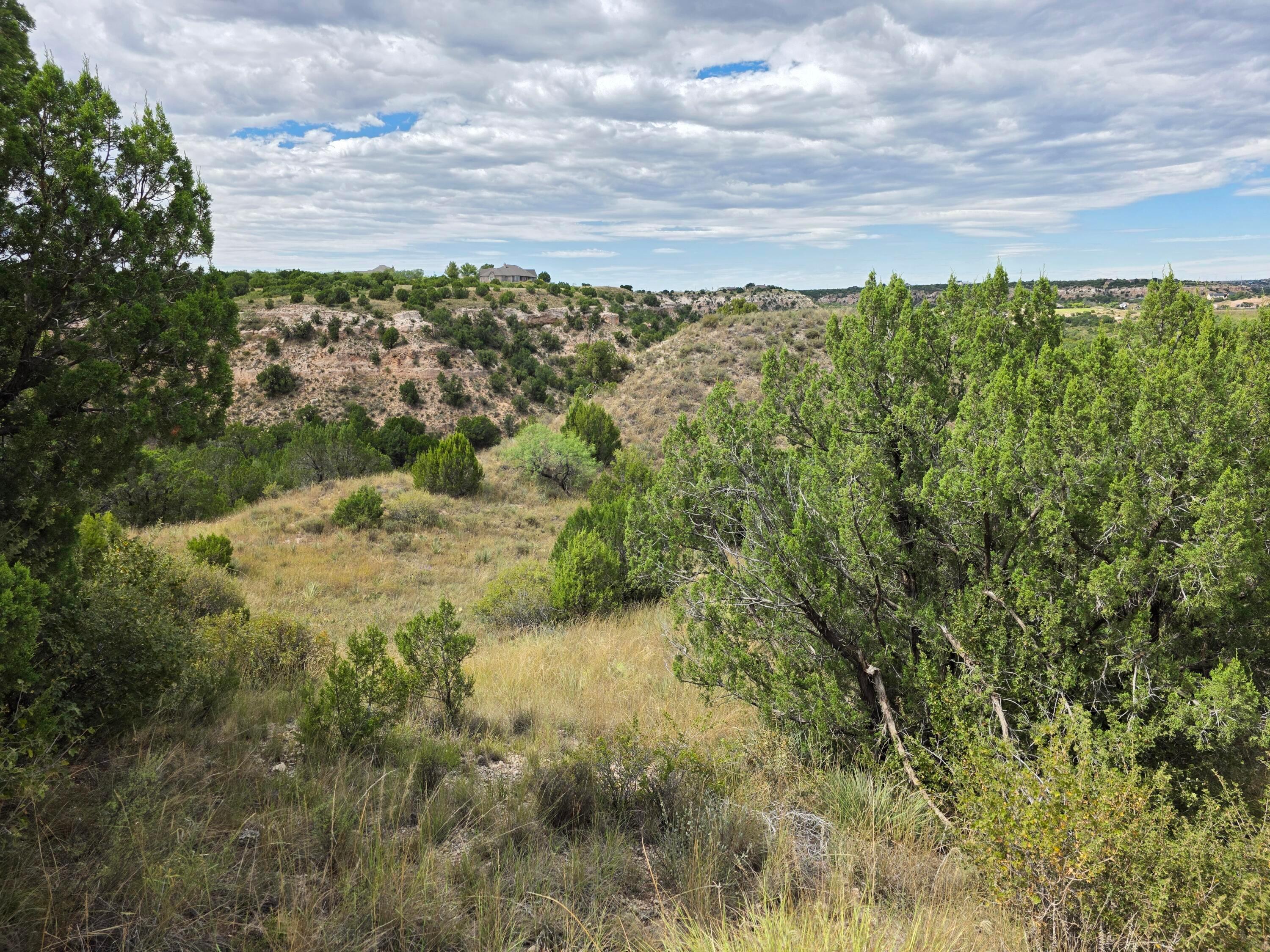 17500 Johns Way Boulevard Canyon, TX 79015 - Photo 8 of 10 a view of a yard